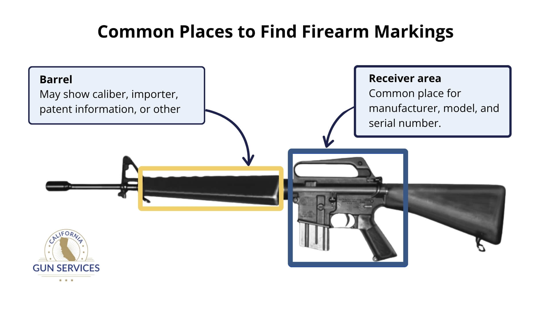 Diagram highlighting the receiver, or main metal body near the trigger, as a common location for firearm markings